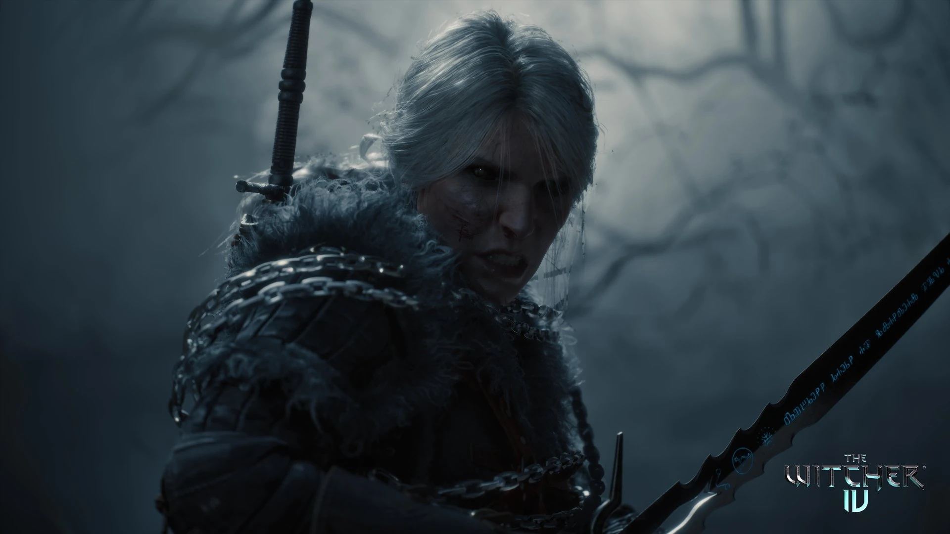 The Witcher 4